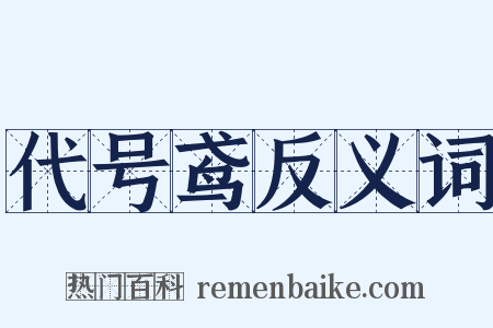 代号鸢反义词是什么意思的图片